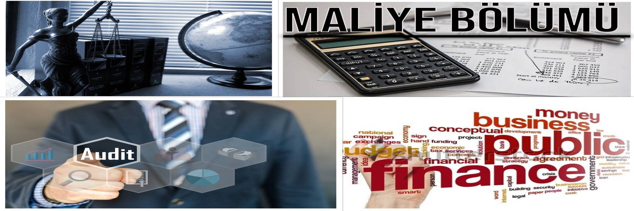 Maliye Bölümü